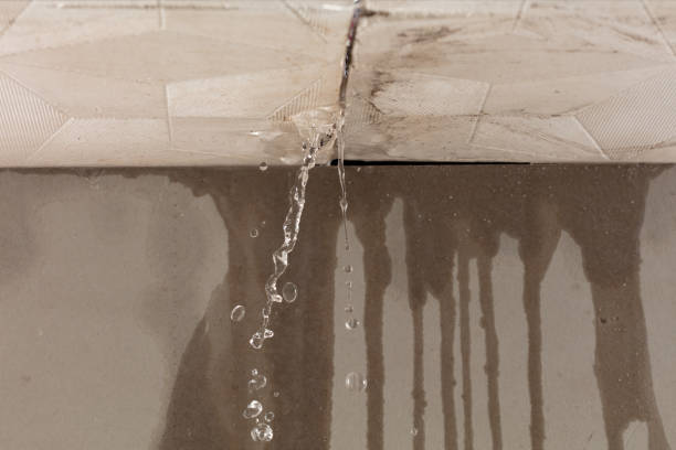 Professional Water Damage Inspection technician working in Athens, TX
